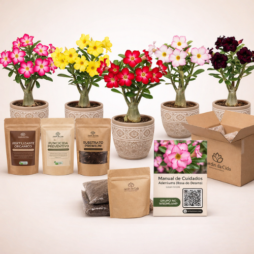 Kit Simples - Coleção 5 Cores Raras