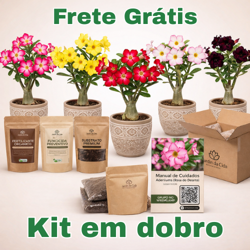 Kit em Dobro - Coleção 5 Cores Raras